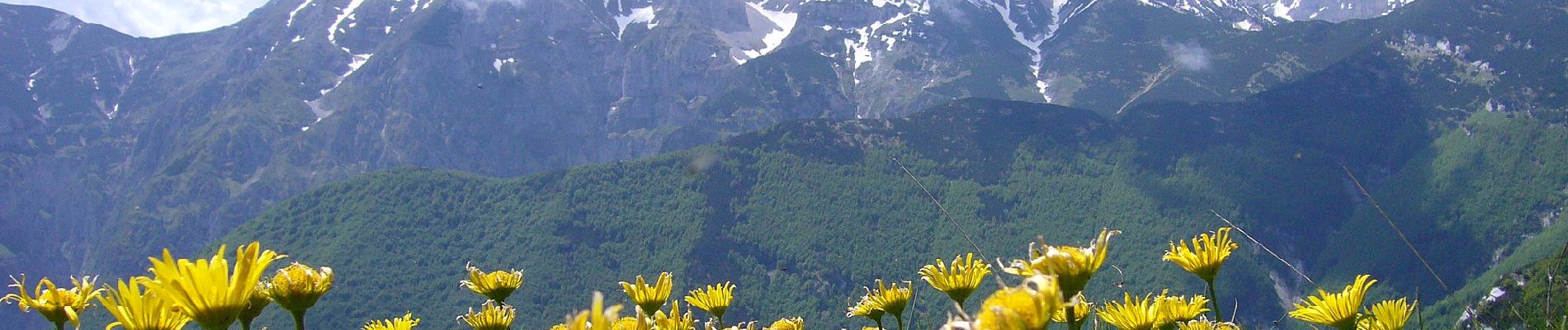 Trail On foot Guardiagrele - Bocca di Valle - Rifugio Pomilio - Photo