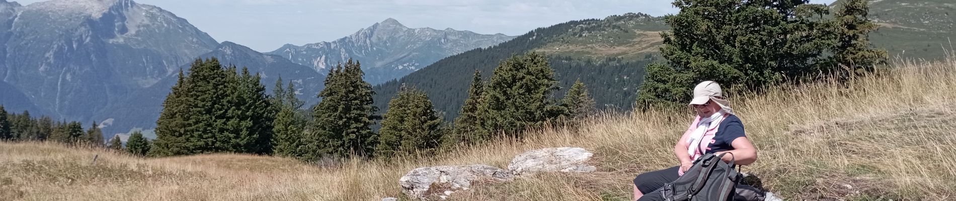 Tocht Stappen La Léchère - grand naves Beaufortain  - Photo