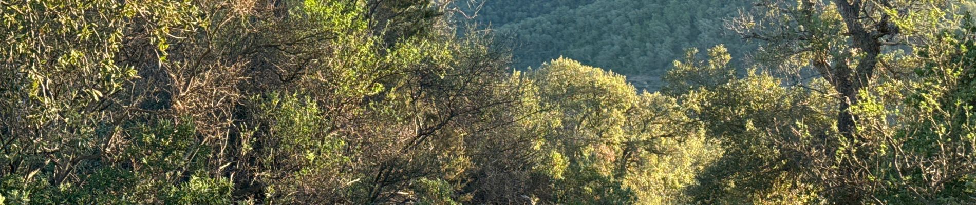 Tocht Stappen Roquebrune-sur-Argens - Col du Bougnon : la Garonnette - Photo