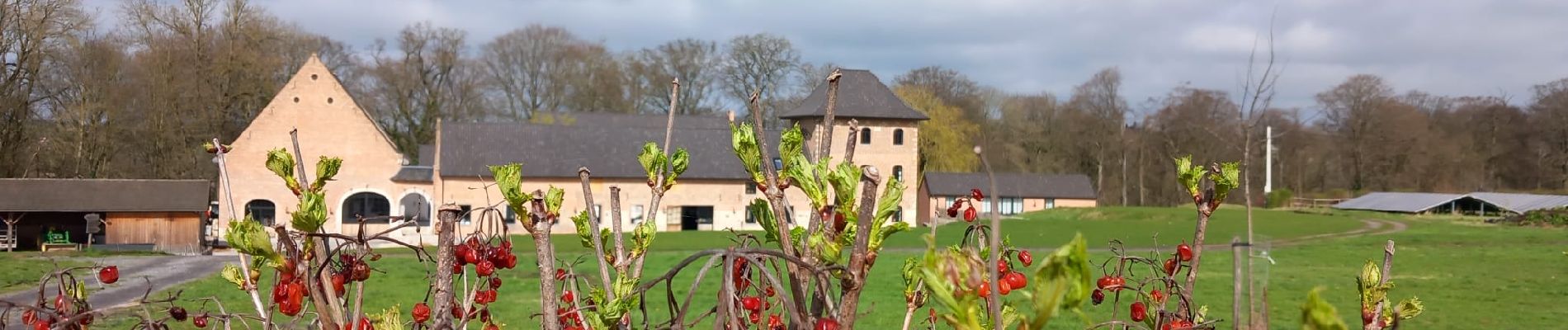 Trail Walking Incourt - #240318 - Piétrebais, Sart-Biez, Petit et Grand Haquedeau*** - Photo