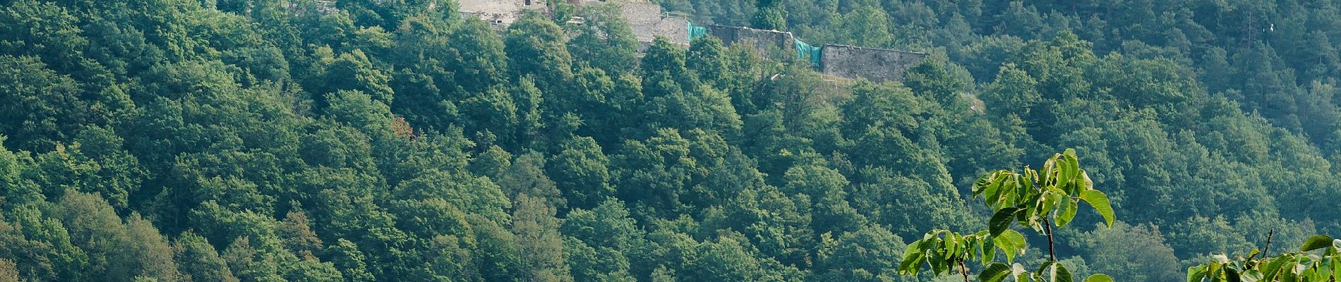 Tour Zu Fuß Waldkirchen am Wesen - 4/4-Blick-Runde - Photo