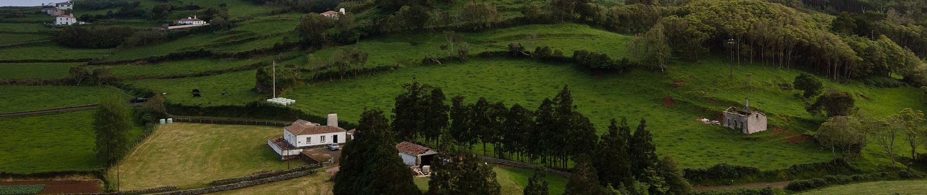 Tocht Te voet Santo Espírito - PR4SMA Santo Espírito - Maia - Photo