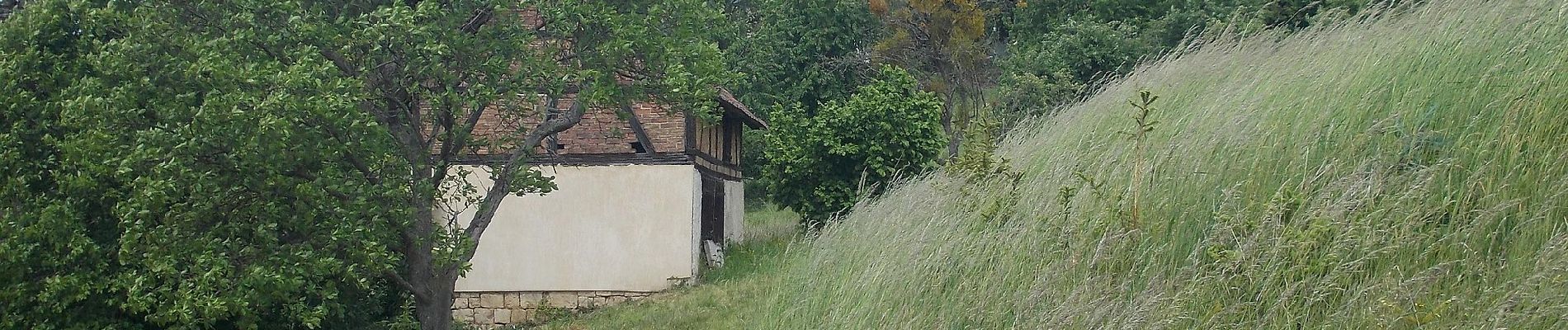 Tocht Te voet Großheringen - Rundweg Kaatschen-Tultewitz - Photo