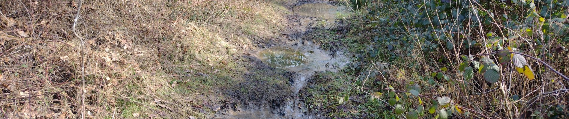 Point d'intérêt Ham-sur-Heure-Nalinnes - grosses flaques d'eau - Photo