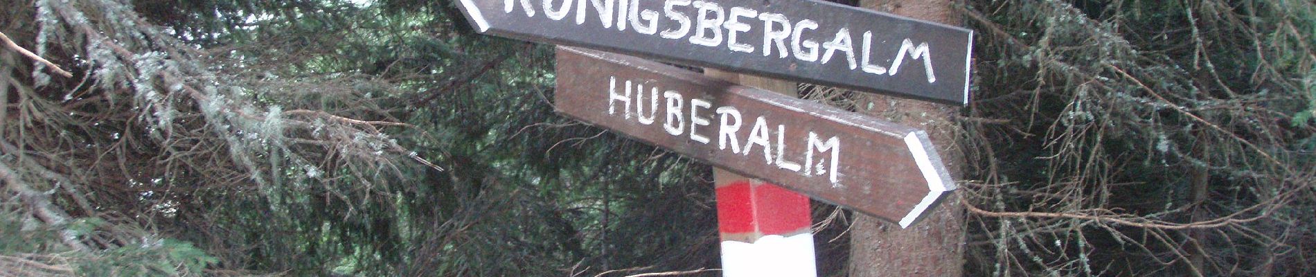 Percorso A piedi Dienten am Hochkönig - Sonnberg-Königsbergalm - Photo