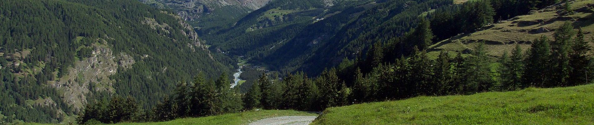 Excursión A pie Ayas - (SI F18) Rifugio Grand Tournalin - Crest - Photo