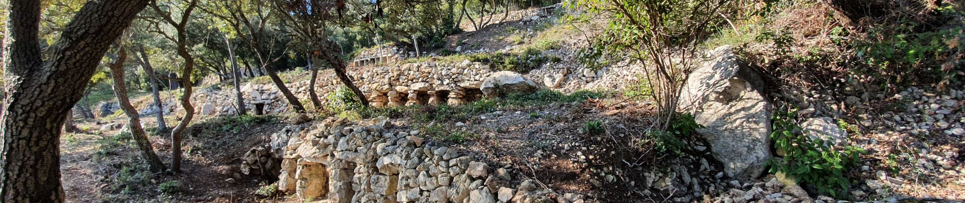 Tour Wandern Lamanon - Les murs d'abeilles  - Photo