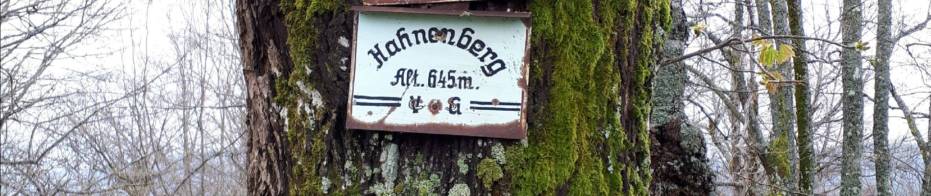 Tour Wandern Mühlbach an der Breusch - Muhlbach sur Bruche - Photo