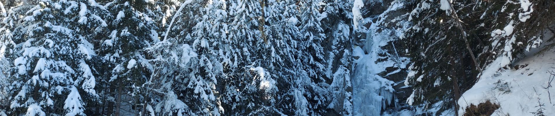 Percorso Racchette da neve Chamonix-Mont-Blanc - 20230124 Chamonix Cascade du Dard - Photo