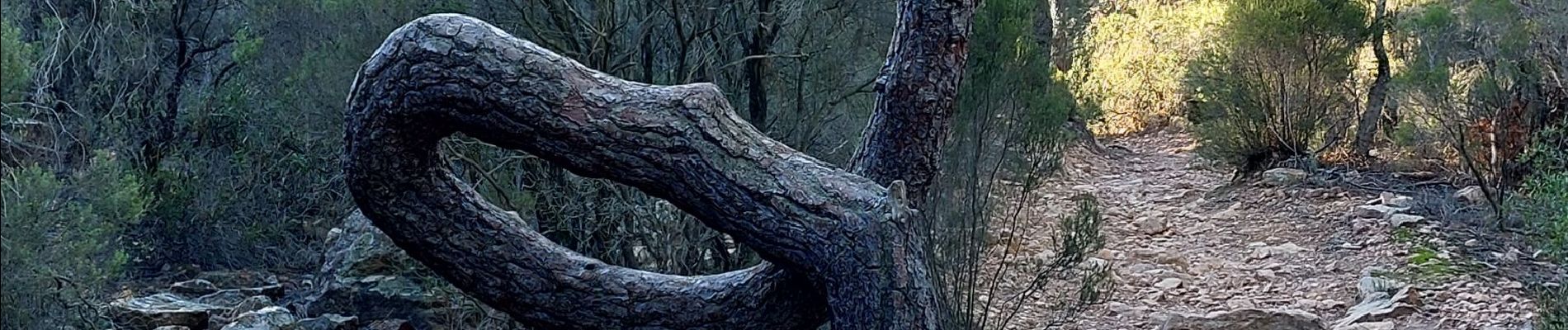 Randonnée Marche Bagnols-en-Forêt - bagnols en forêt les meules et l'oppidum  - Photo