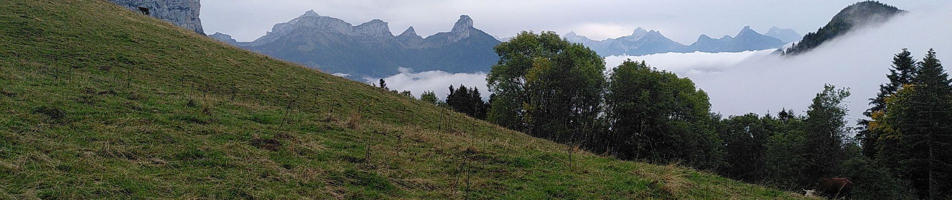 Tocht Stappen Villaz - Parmelan-les 2 montoirs - Photo