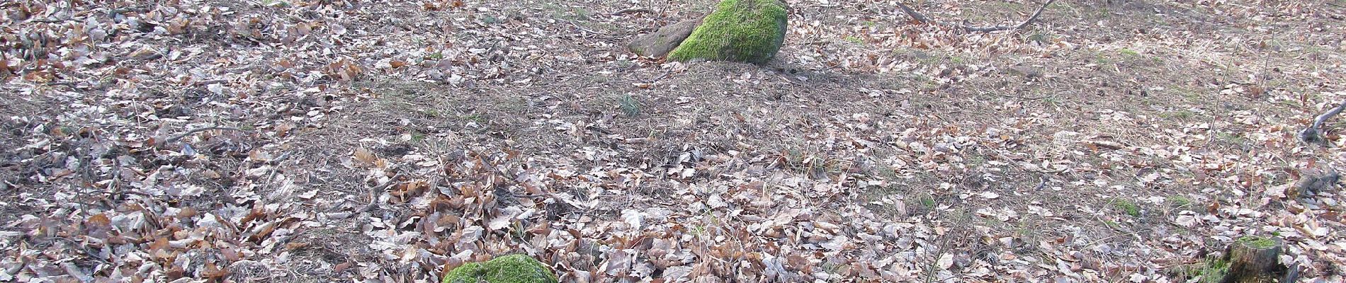 Percorso A piedi Holedeč - NS Holedeč u Žatce - Photo