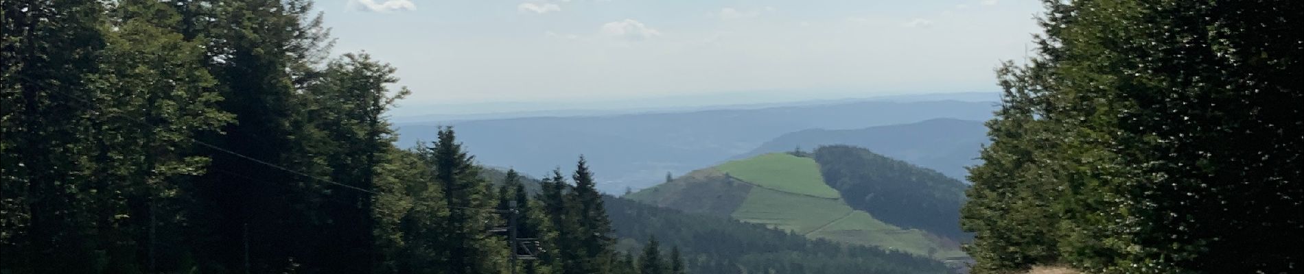 Excursión Bici de montaña Le Ménil - Frère Joseph  - Photo