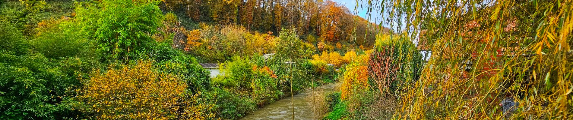 Tocht Stappen Ham-sur-Heure-Nalinnes - La promenade du Pré al Rocq - Photo