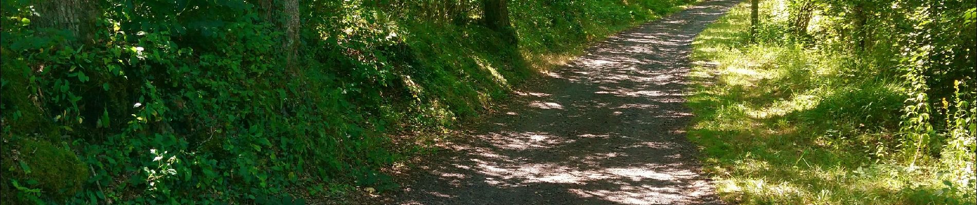 Tocht Stappen Volvic - La Plaine, Lespinasse  - Photo