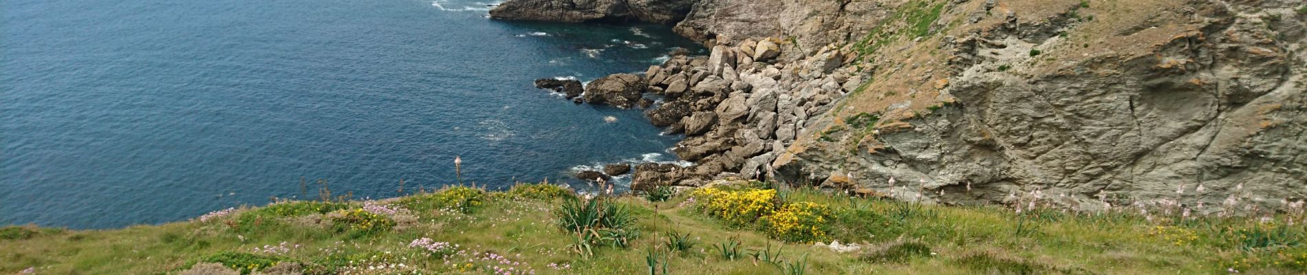 Percorso Marcia Locmaria - belle île de la pointe de Pouldon à la plage de Herlin - Photo