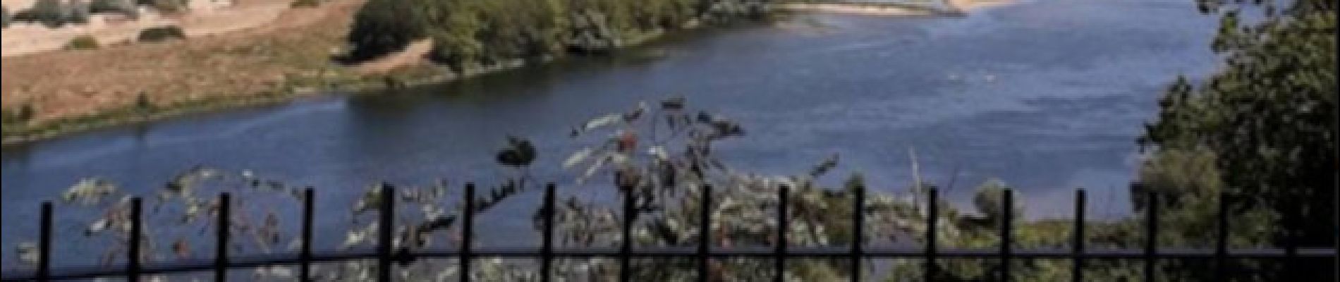 Punto de interés Orée-d'Anjou - Champalud : magnifique point de vue sur la Loire - Photo