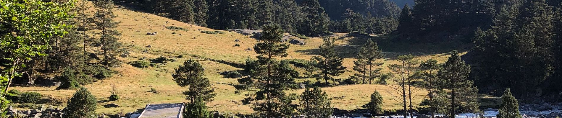 Trail Walking Cauterets - Marcadau - Photo