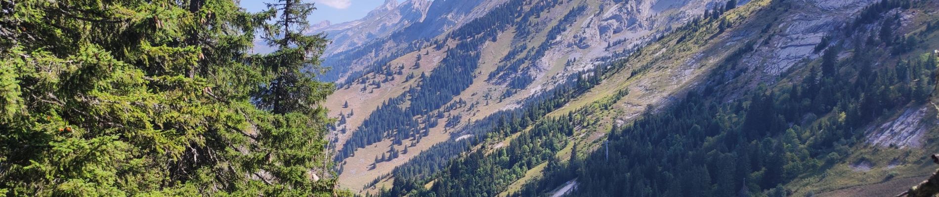 Excursión Senderismo La Clusaz - le Crêt du loup la clusaz - Photo