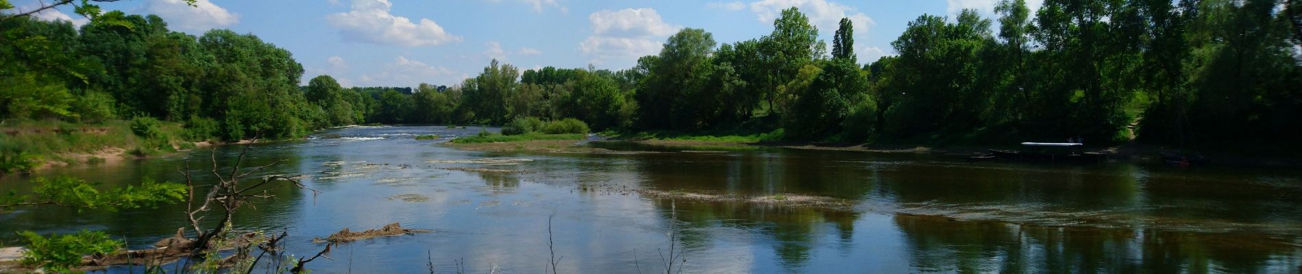 Randonnée Marche Berthenay - Berthenay - Sentier des deux Eaux - 16.3km 65m 4h00 - 2022 05 08 - Photo