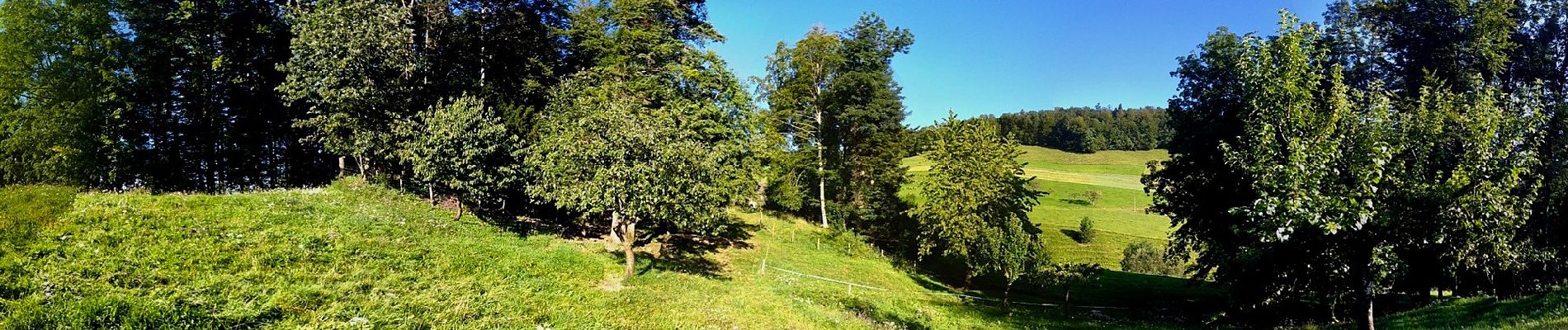 Tocht Te voet Beinwil (SO) - Neuhüsli - Nunningerberg - Photo