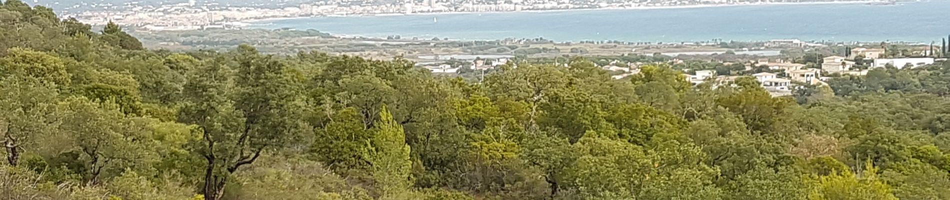 Tocht Stappen Roquebrune-sur-Argens - LES ISSAMBRES - LE VALLON DE LA GAILLARDE - Photo