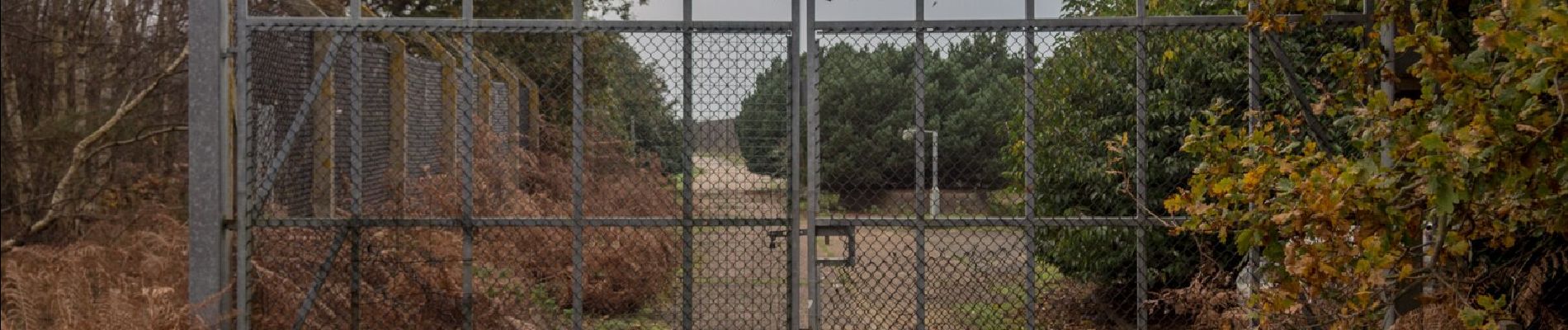 Percorso A piedi East Suffolk - Rendlesham Forest UFO Trail - Photo