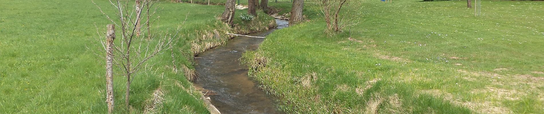 Tocht Te voet Sinntal - Altengronau - Rundweg am Grauberg - Tanne - Photo