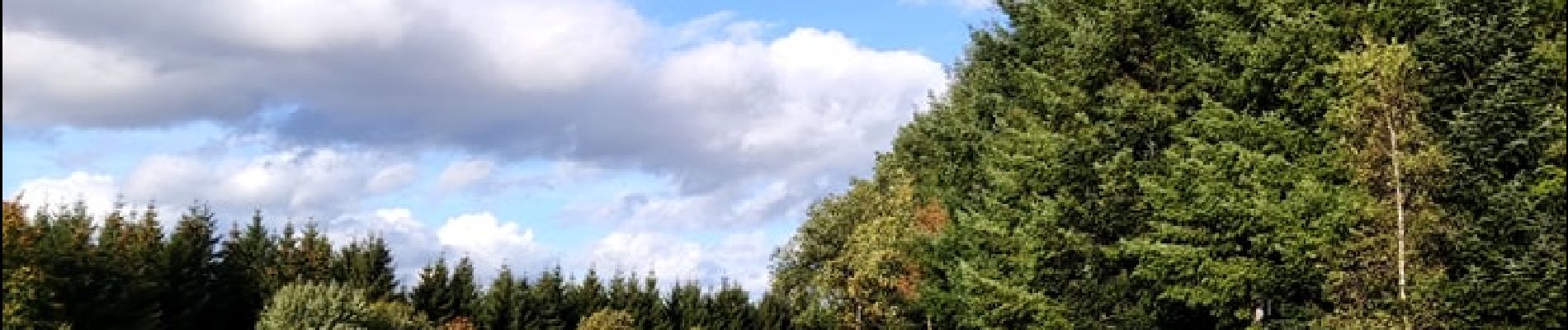 Randonnée Marche Lierneux - Promenade vers la réserve naturelle de Colanhan (8km)  - Photo