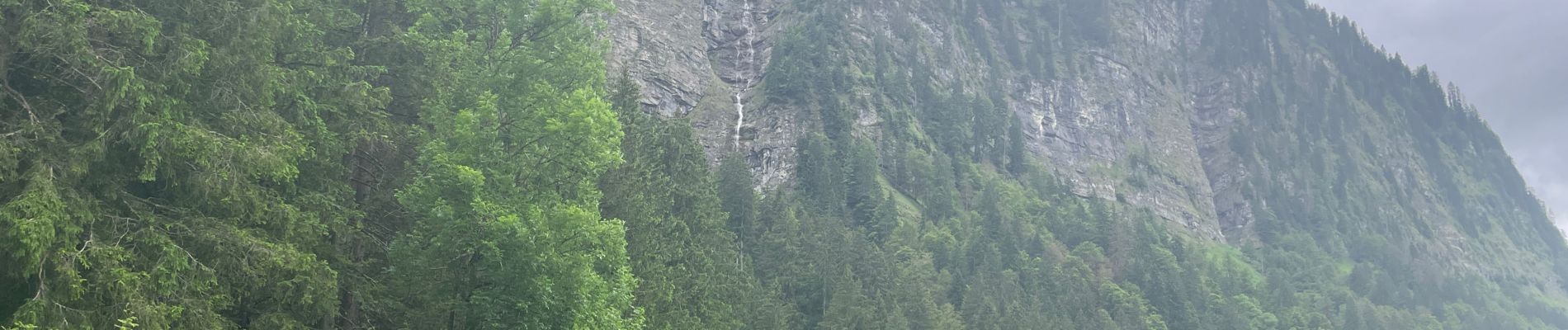 Trail Walking Montriond - Lac de Montrion, cascade d’Argent - Photo