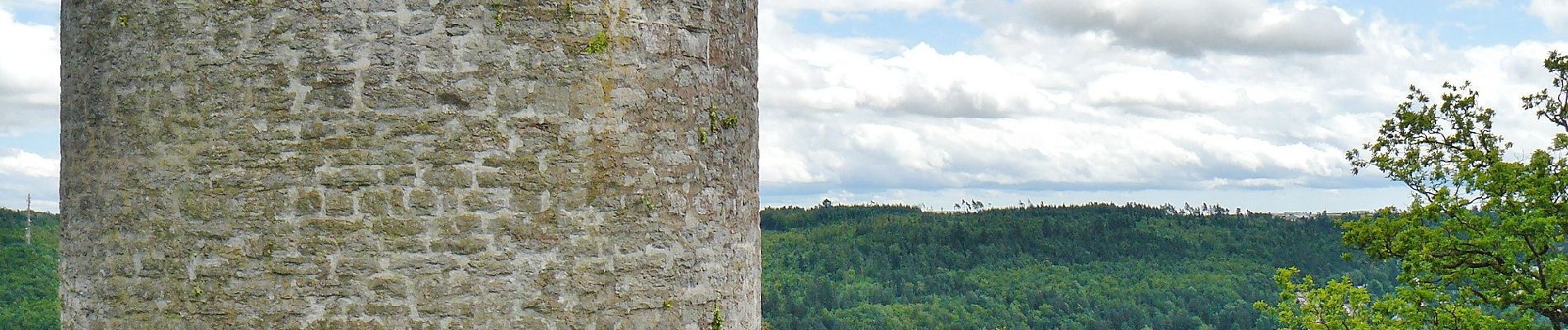 Randonnée A pied Nagold - Spechttal - Mindersbach - Heiligkreuz - Photo