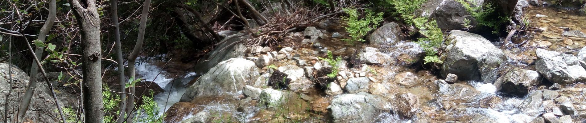 Tour Wandern Moca-Croce - piscia di l onda - Photo