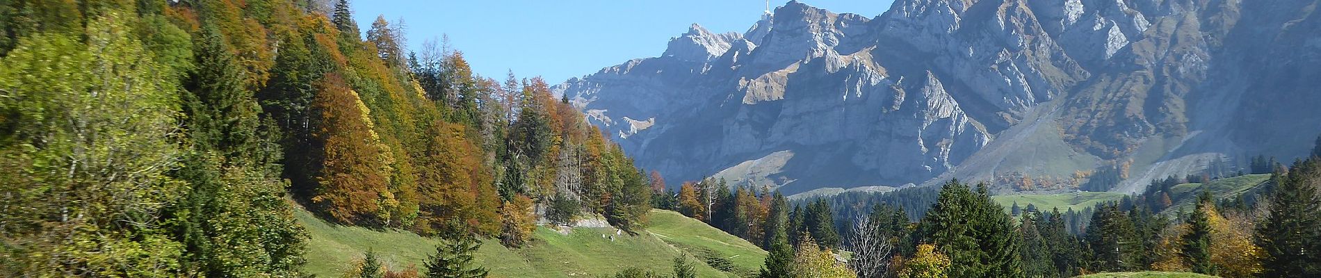 Percorso A piedi Nesslau - Lutertannen-Windenpass - Photo