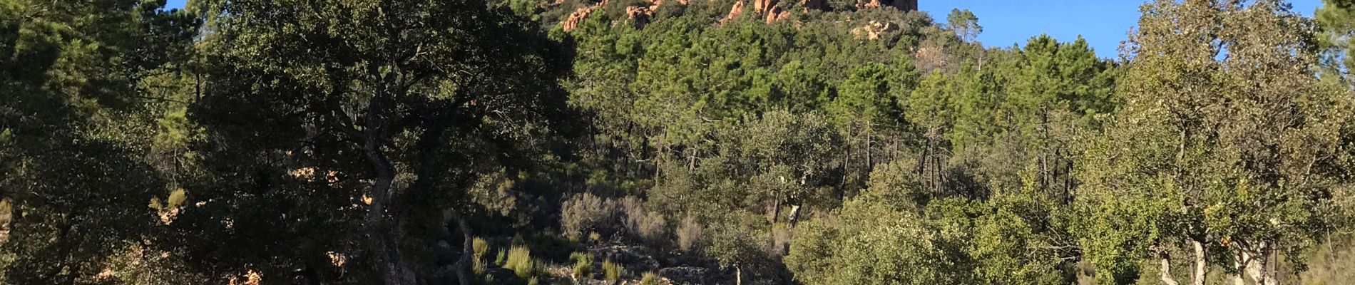 Excursión  Fréjus - Auriasque - Bouverie  - Photo