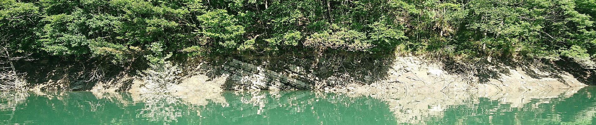 Percorso A piedi Bagno di Romagna - Sul lago di Ridracoli - Photo