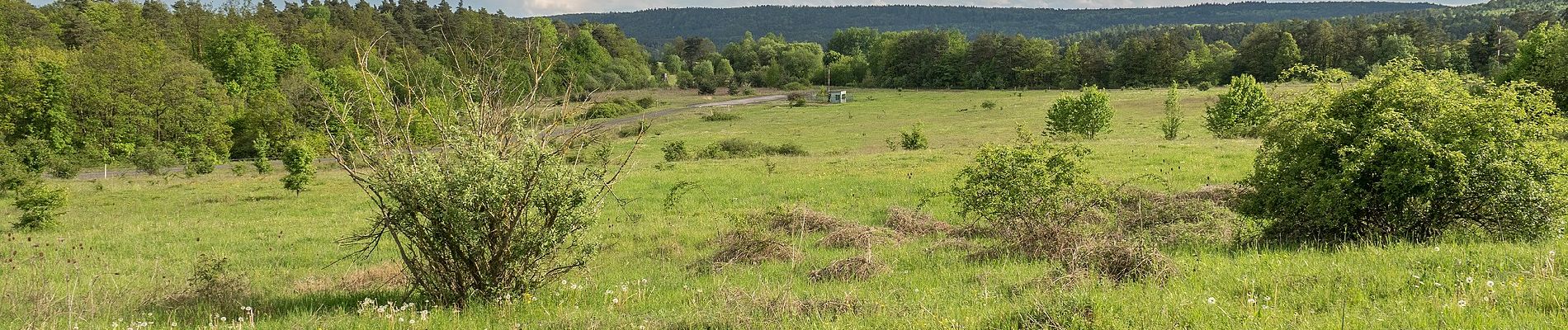 Tocht Te voet Ebern - Großer Rundweg Fledermaus - Photo