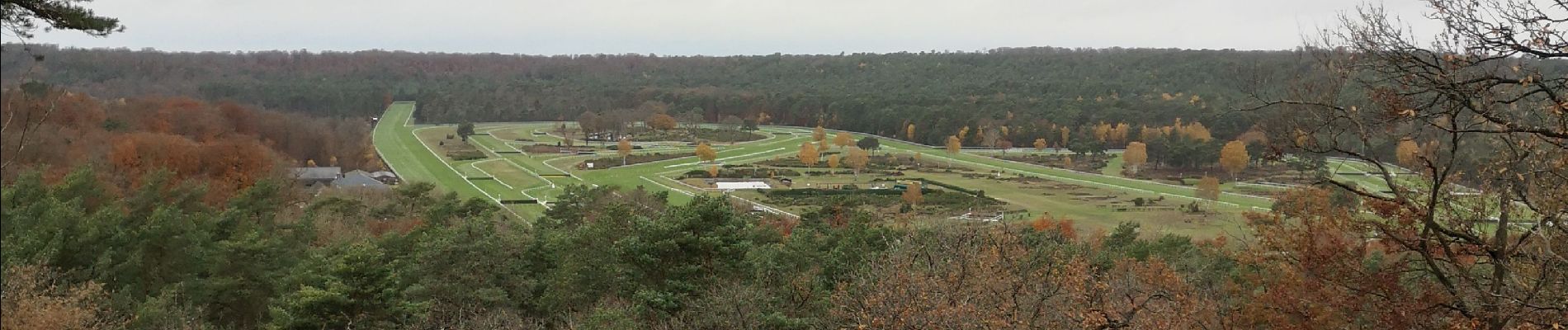 Tocht Stappen Fontainebleau - hippodrome 1 - Photo