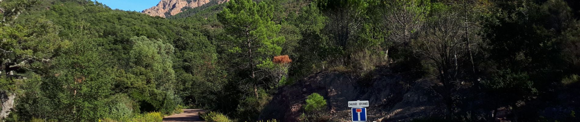 Tour Mountainbike Saint-Raphaël - Peïre Sarade - Pic de l'Ours et retour - Photo