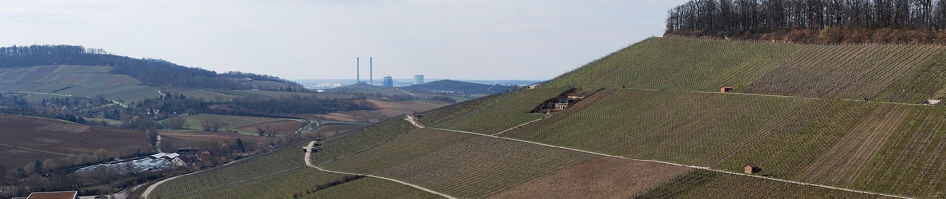 Percorso A piedi Weinsberg - WT7 Wein- und Rosenrundweg Weinsberg - Photo