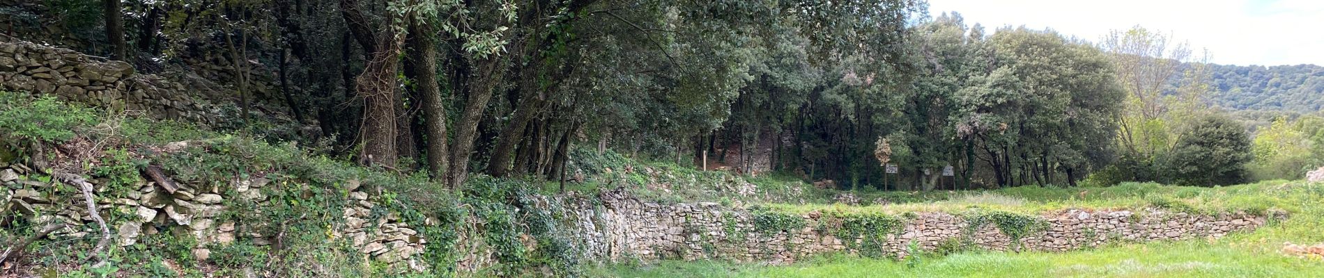 Tour Wandern Faugères - Balade Faugeres / les Mates Basses - Photo