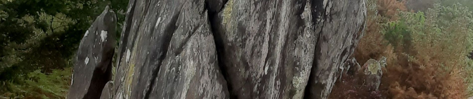 Excursión Senderismo Bon Repos sur Blavet - Gorges de Daoulas - Photo