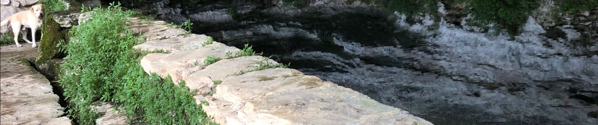 Randonnée Marche Buoux - La baume - Photo