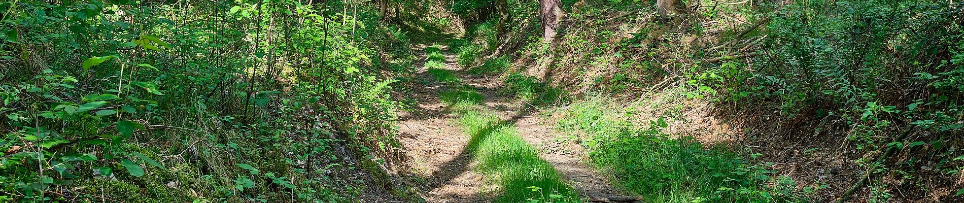 Tour Zu Fuß Ronsperg - NS Těžba živců na Poběžovicku - Photo