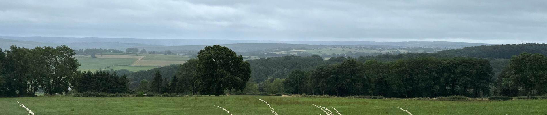 Tocht Stappen Theux - Hodbomont Banneux 26,7 km - Photo