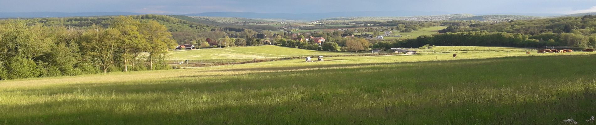 Excursión Bici de montaña Semondans - issans-laire - Photo