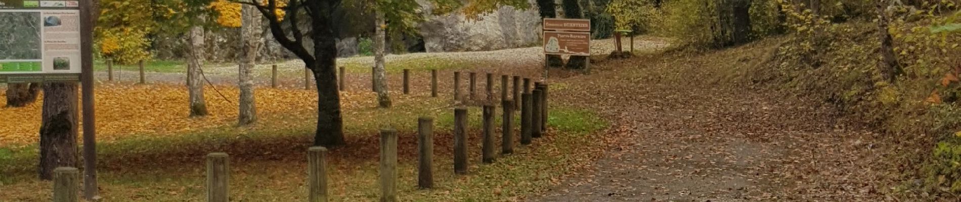 Tocht Noords wandelen Reignier-Ésery - Tour des Rocailles 04-11-2018 - Photo