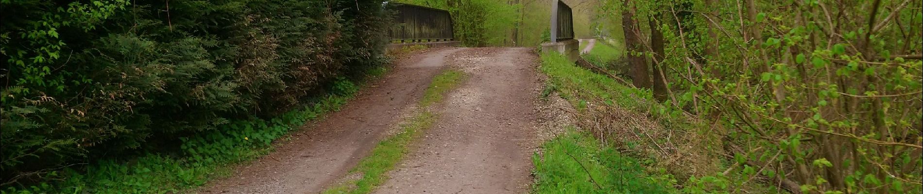 Trail Walking Colmar - Entre l'Ill et la forêt  - Photo