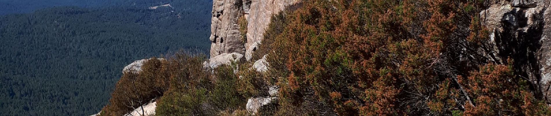 Tocht Stappen Zonza - tour des aiguilles de Bavella - Photo