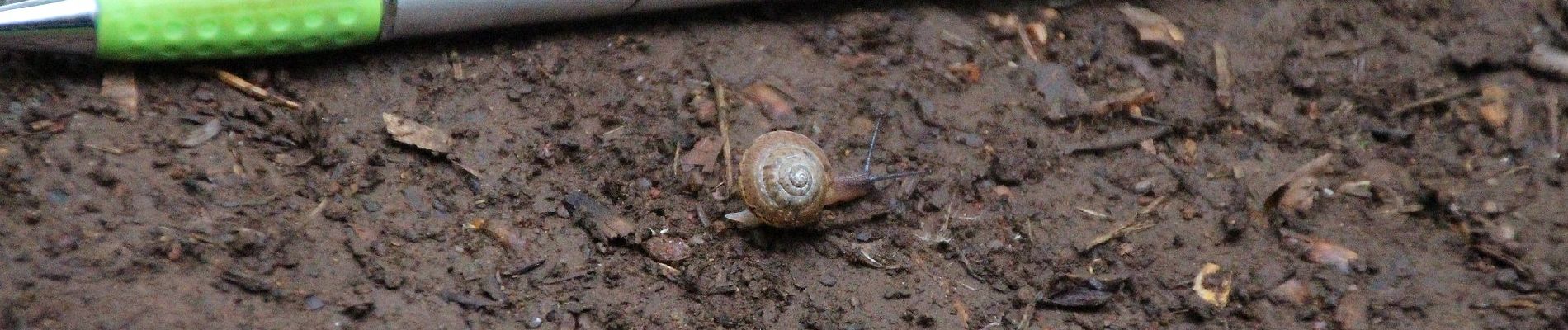 Percorso A piedi Sandberg - Rhön Rundweg 3 - Photo