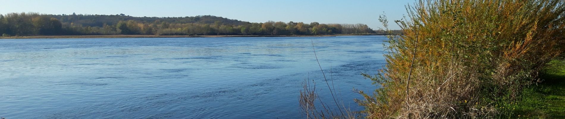 Tocht Stappen Loire-Authion - St Mathurin sur Loire  - Photo